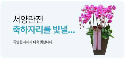 서양란전