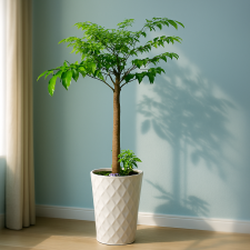 행복나무2호[해피트리]