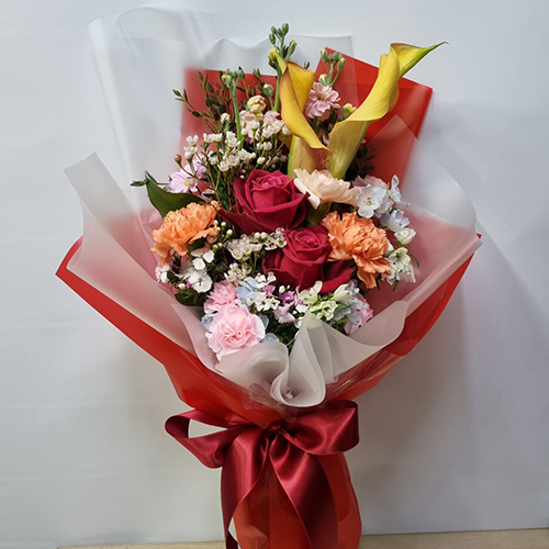 DABAL0068.jpg