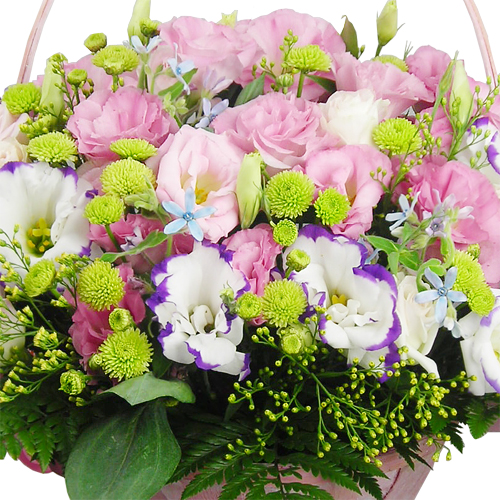DSCN0554_500_상세1.jpg