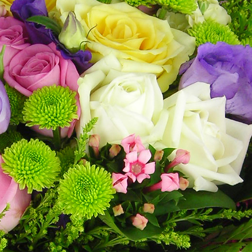 DSCN0861_상세2.jpg