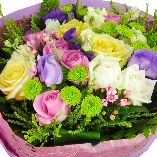 DSCN0861_500_상세1.jpg