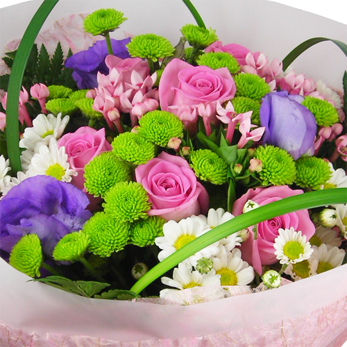 DSCN0892_500_상세1.jpg